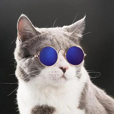 Pet Cat Sunglasses Small Dog Glasses Pet Products